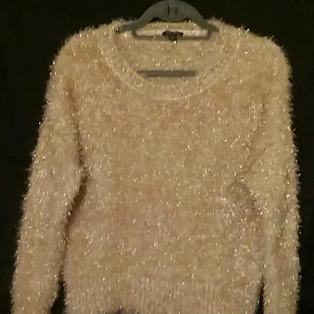Wild fable sweater